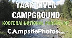 Yaak River Campground - Kootenai National Forest, MT