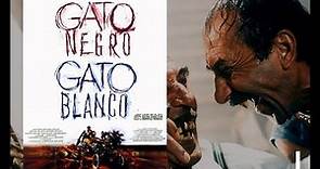 Kitustrailers : GATO NEGRO, GATO BLANCO (Trailer en Español)