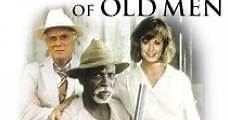 Viejos recuerdos de Louisiana (1987) Online - Película Completa en Español - FULLTV