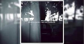 David Duchovny "Hell Or Highwater" [FULL ALBUM]
