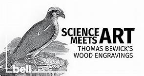 Science Meets Art: Thomas Bewick's wood engravings