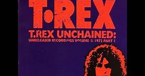 Marc Bolan & T.Rex Unchained Volume 1/8