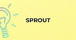 What is the meaning of the word SPROUT?