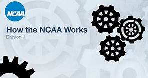 How the NCAA Works - Division II