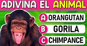 Adivina los "51 ANIMALES"🐒 | ¿Cuántos "ANIMALES" Reconoces? Test/Trivial/Quiz