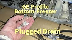 GE Profile Bottom-Freezer Plugged Drain @Nice2Know