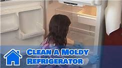 Household Cleaning : How to Clean a Moldy Refrigerator