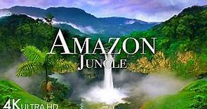 Amazon Jungle 4K - The World’s Largest Tropical Rainforest | Jungle Sounds | Scenic Relaxation Film