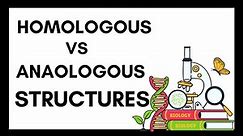 Homologous Structures vs Analogous Structures