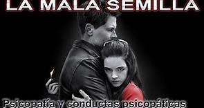 THE BAD SEED 📢 LA MALA SEMILLA 📢 Película completa 📢 ESPAÑOL LATINO