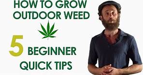 5 Beginner Quick Tips for Growing Outdoor Weed