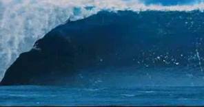 Surf's Up Trailer