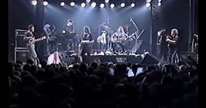 I Nomadi - HO DIFESO IL MIO AMORE (Live Performance) - Casalromano (MN) 1989