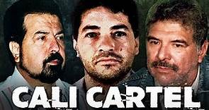 The Rise and Fall of the Cali Cartel : Its Wealth and Power