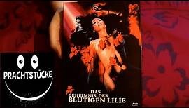 Das Geheimnis der blutigen Lilie (Mediabook X-Rated Cover-A)