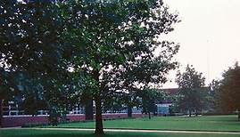 North Allegheny Intermediate High School - Alchetron, the free social encyclopedia