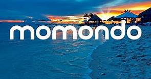 How to Use Momondo to Find Cheap Flights