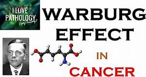 NEOPLASIA 6: WARBURG EFFECT: Hallmark of CANCER. What, Why & How?