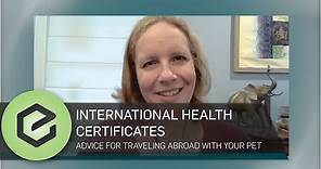 Traveling Abroad With Your Pet? A Veterinarian's Advice on International Health Certificates