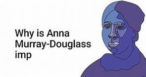 Anna Murray-Douglass Academy School No. 12