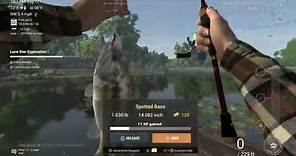 How to Play Fishing Planet With Friends