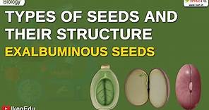 What is a Seed? | Types and Structures of Seeds | Biology | iKen | iKenEdu | iKenApp