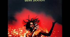 Peter Tosh, Mick Jagger - (You gotta walk) Don't look back