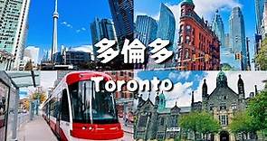 多倫多旅遊 Vlog｜市中心、聖勞倫斯市場、多倫多大學、輕軌路面電車、教堂、電視塔 Toronto Travel