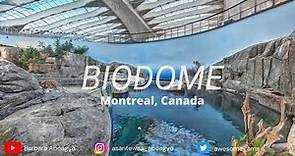 Experiencing the #Biodome, Montreal, Canada