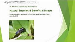 Natural Enemies and Beneficial Insects: what are they?