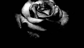 Sadistik - Black Rose