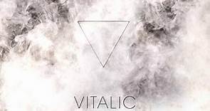 Vitalic - Disco Terminateur EP