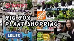 Plant Shopping 3 Locations! What's new for Spring 🌸 | January 2024