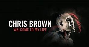 Welcome To My Life - Chris Brown Documentary