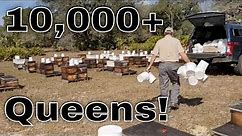 🌞Visiting Commercial Beekeeper Chris Werner!!