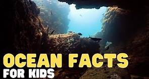 Ocean Facts for Kids | Learn interesting facts about the world's largest pool!