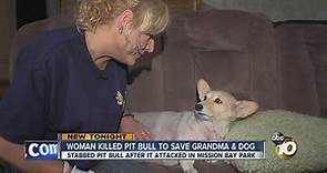 Woman killed pit bull to save grandma, dog