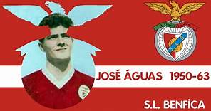 José Águas - SL Benfica