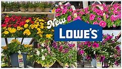 LOWE'S SPRING INVENTORY MARCH 2023| PETUNIAS MARIGOLDS AFRICAN DAISIES STOCKS #lowesgardencenter