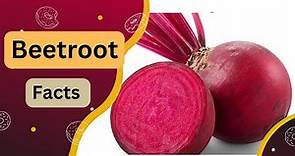 Beetroot Facts| Beta vulgaris Facts | Nutrition | Benefits and uses