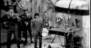 The Animals - We Gotta Get Out Of This Place (Live, 1965) ♫♥