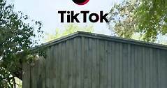 TikTok - Make Your Day