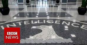 Wikileaks 'reveals CIA hacking tools' - BBC News