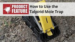How to use the Talpirid Mole Trap | DoMyOwn.com