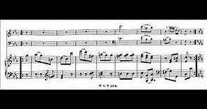 W. A. Mozart - Piano Trio G major KV 564 - Wiener Schubert Trio