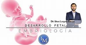 Embriología | Desarrollo Fetal | Resumen