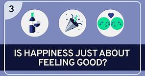 PHILOSOPHY - Happiness 3: Is Happiness Just About Feeling Good?