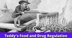 History Brief: Teddy's Food and Drug Regulation