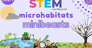 Microhabitats | KS1 Year 2 Science | STEM Home Learning
