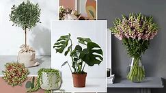 The Handbook - 36 Flowers & Plants To Fill Your Home With...